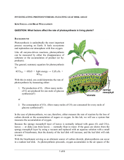 CHAPTER 22 GUIDED NOTES: THE EVIDENCE FOR EVOLUTION
