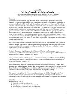 Lesson 6 &ndash; Sorting Microfossils