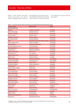 Caiundo - Diversity of Birds