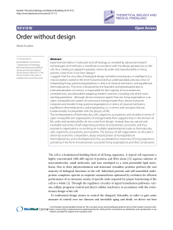 Order without design | SpringerLink