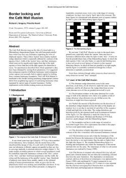 Border locking and the Café Wall illusion