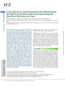 Green Light Drives Leaf Photosynthesis More Efficiently than