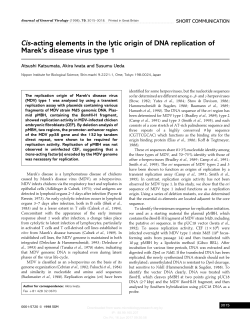 Cis-acting elements in the lytic origin of DNA replication of Marek`s