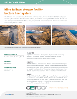 Mine tailings storage facility bottom liner system