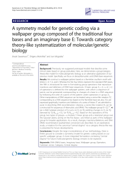 A symmetry model for genetic coding via a wallpaper group