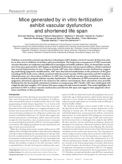 Mice generated by in vitro fertilization exhibit vascular