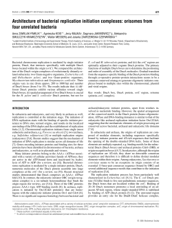 Architecture of bacterial replication initiation complexes: orisomes