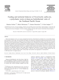 Feeding and territorial behavior of Paralvinella sulfincola, a