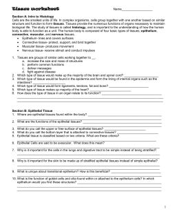 Tissue Worksheet/Guide