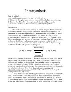 Photosynthesis