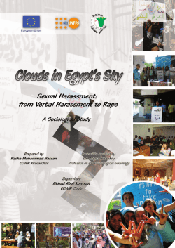Clouds in Egypt`s Sky &ndash; Sexual Harassment: From Verbal