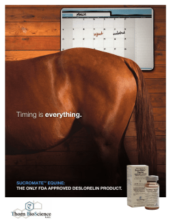 the SucroMate&trade; Detail Aid Brochure