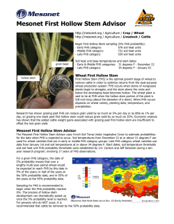 Mesonet First Hollow Stem Advisor
