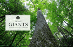 Mar/April - The Last Giants - North Carolina Wildlife Resources