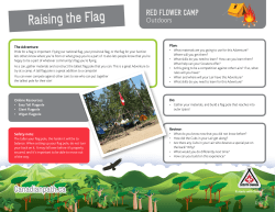 Raising the Flag