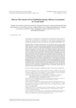 Discrete Movements of Foot Epithelium during
