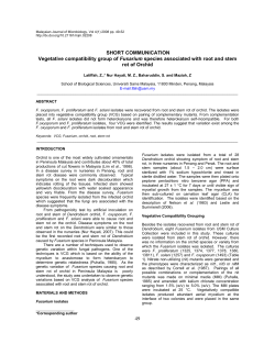 49 SHORT COMMUNICATION Vegetative compatibility group of