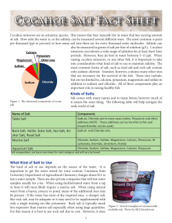 Cocahoe Salt Fact Sheet
