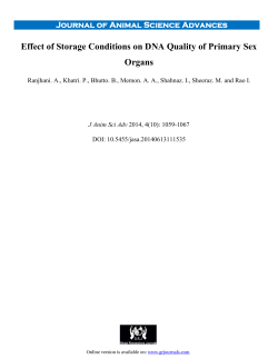 Effect of Storage Conditions on DNA Quality of Primary Sex Organs