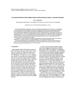 PALAEOMAGNETISM OF PRECAMBRIAN ROCKS FROM