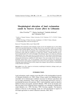 Morphological alteration of land reclamation canals by beavers