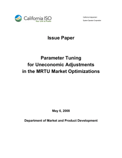 Issue Paper Parameter Tuning for Uneconomic