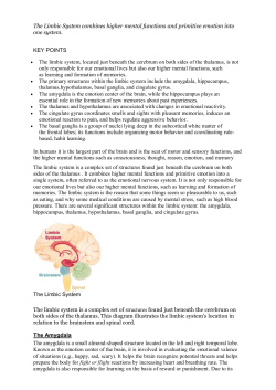 The Limbic System combines higher mental functions and primitive
