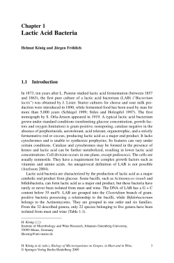 Lactic Acid Bacteria