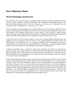 Part 4: Mammary Gland