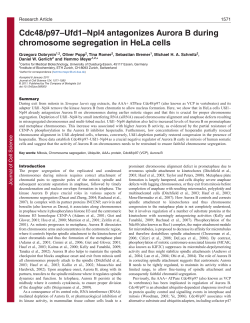 Cdc48/p97&ndash;Ufd1&ndash;Npl4 antagonizes Aurora B during chromosome