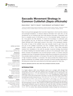 Saccadic Movement Strategy in Common Cuttlefish (Sepia officinalis)