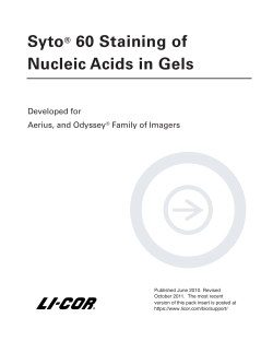 Syto 60 Staining of Nucleic Acids in Gels - LI