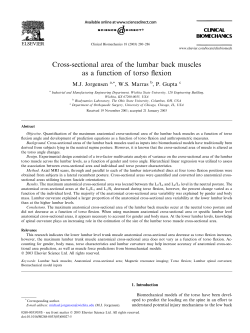 Cross-sectional area of the lumbar back muscles as a