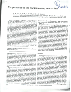 Morphometry of the dog pulmonary venous tree o