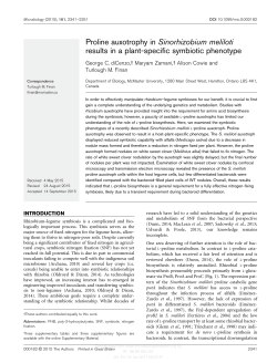 Proline auxotrophy in Sinorhizobium meliloti results in a plant