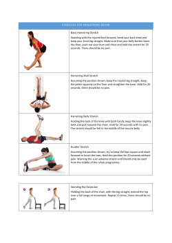 EXERCISES FOR HAMSTRING REHAB Basic Hamstring Stretch