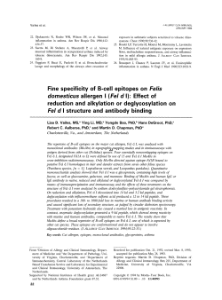 Fine specificity of B-cell epitopes on Felis domesticus allergen I(Fel