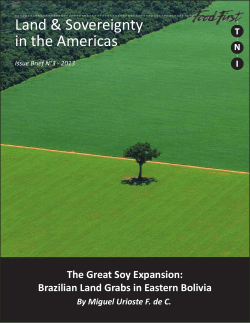 The Great Soy Expansion - Transnational Institute