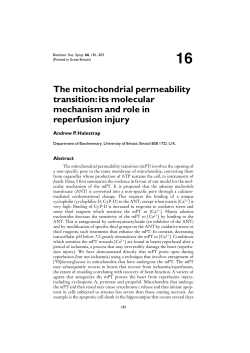 The mitochondrial permeability transition: its molecular mechanism