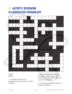 activity - North American Montessori Center