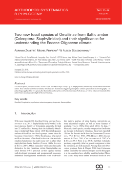 Two new fossil species of Omaliinae from Baltic amber (Coleoptera