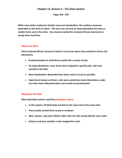 Chapter 13, Section 3 &ndash; The Slave System