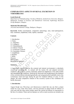 Comparative Aspects of Renal Excretion in Vertebrates