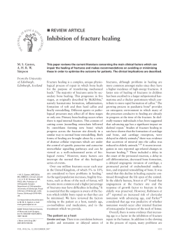Inhibition of fracture healing