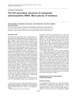 The 9/4 secondary structure of eukaryotic selenocysteine tRNA