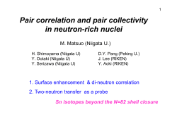 Pair correlation and pair collectivity in neutron