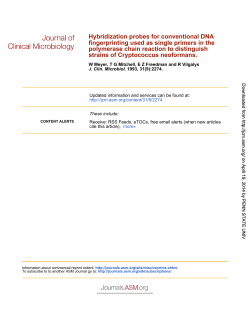 strains of Cryptococcus neoformans. polymerase chain reaction to