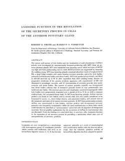 lysosome function in the regulation of the secretory