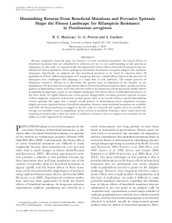 Diminishing Returns From Beneficial Mutations and