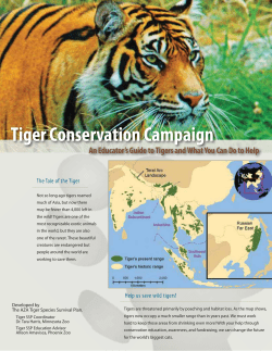 Tiger Conservation Campaign